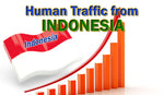 Load image into Gallery viewer, I will direct organic website visits from indonesia
