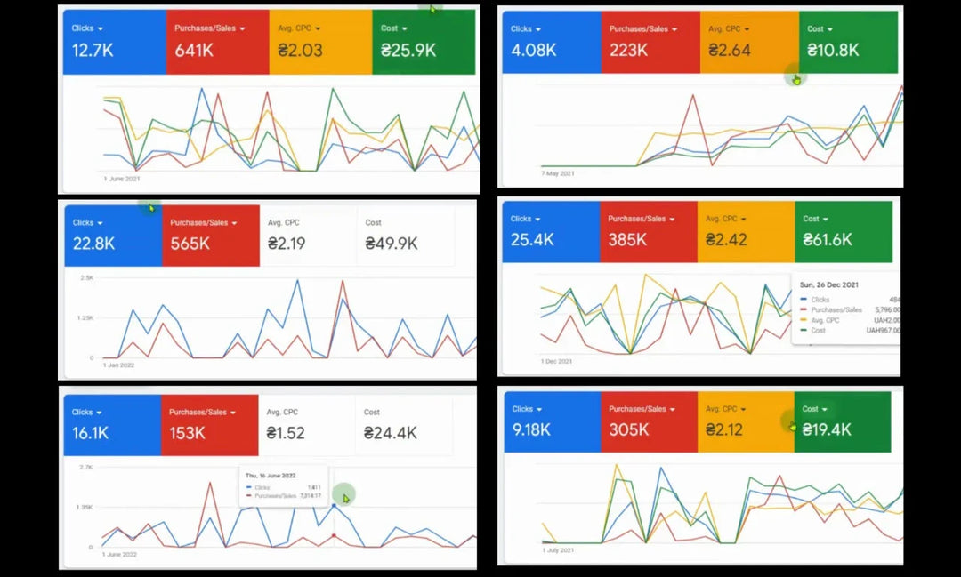 I will do google ads optimization for ecommerce