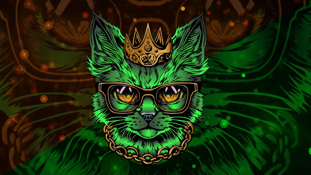 I will do twitch logo, overlay, screen alerts panel animated stream package transition