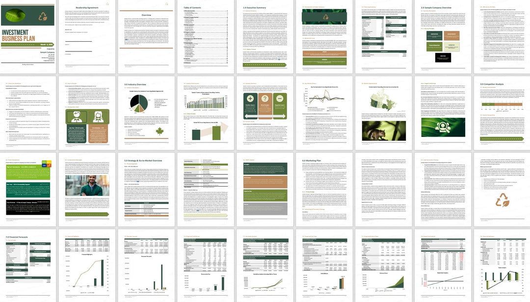 I will prepare a complete business plan for investment