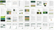 I will prepare a complete business plan for investment