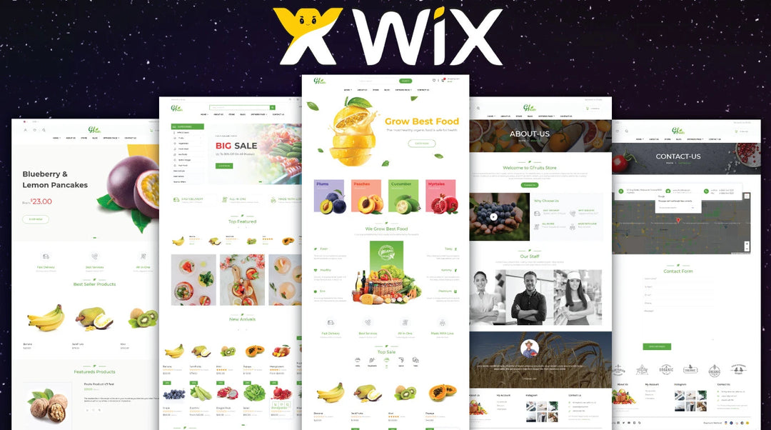 I will design wix website design redesign wix website (1 page)