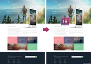 I will convert or clone web page into elementor template (1 page)