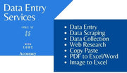 I will do excel data entry, copy paste, web research, data conversion work-6 hours of work