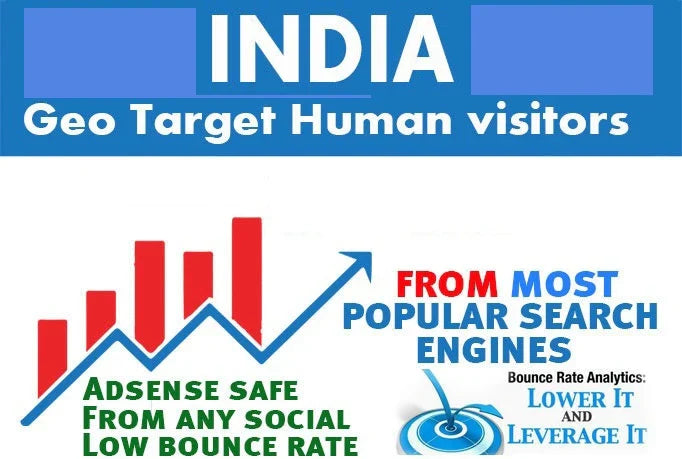 I will drive indian organic website visitors