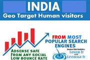 I will drive indian organic website visitors