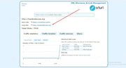 I will supply organic USA traffic to your website, video