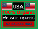 Load image into Gallery viewer, I will supply organic USA traffic to your website, video

