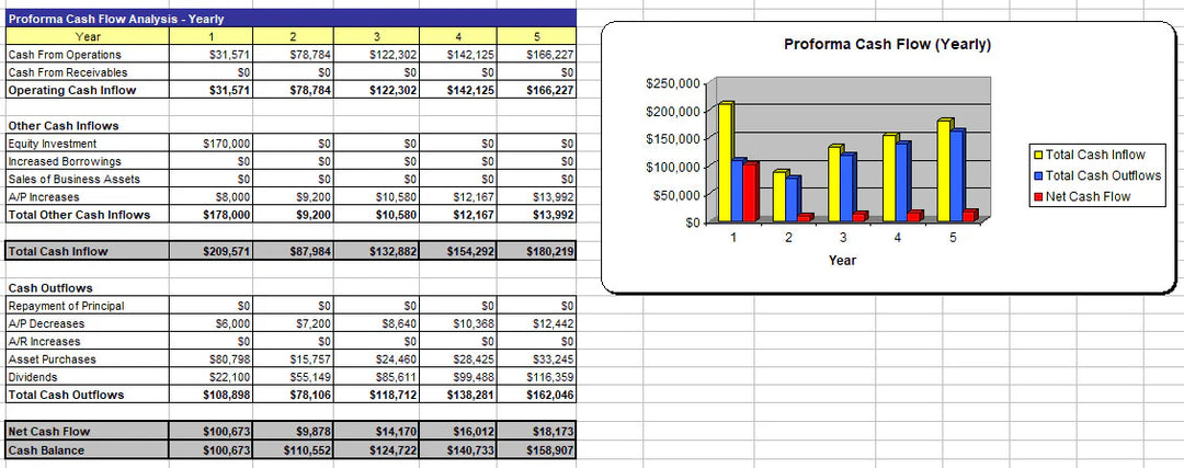 I will write a perfect five year business plan for you
