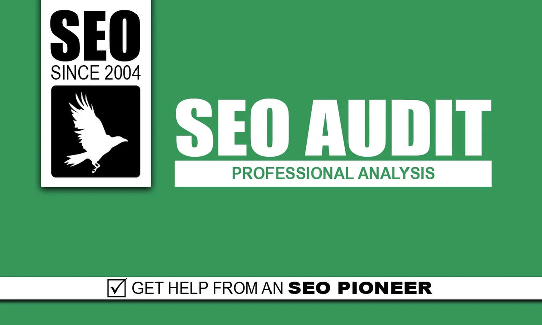 I will do a professional SEO audit for your website