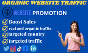I will do organic website traffic promotion-10+ Million active social media users (One Month Promotion)