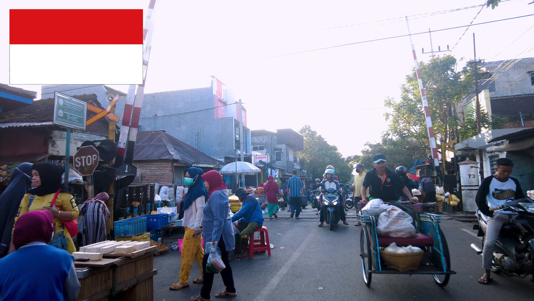 I will record street walk video of indonesia-15 Mins Walk Video