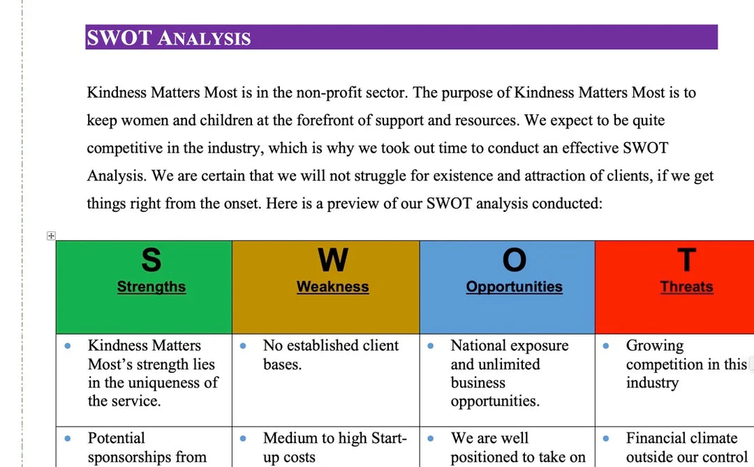 I will write a nonprofit business plan