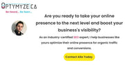 I will optimize your website for organic traffic and conversion