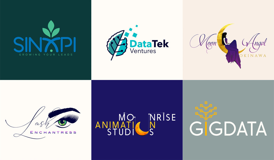 I will do professional and custom business logo design and branding