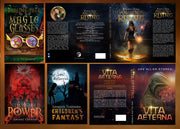 I will design professional fiction book cover, ebook cover