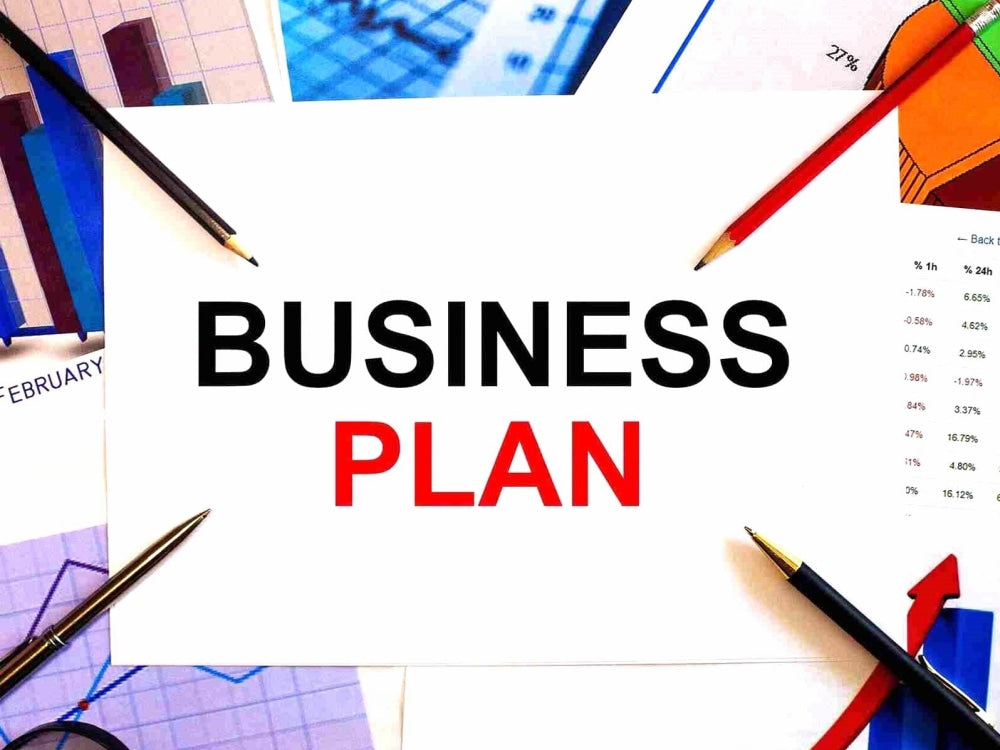I will write a perfect five year business plan for you