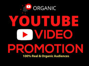 I will do youtube promotion to complete channel monetization organically (1k audiences)