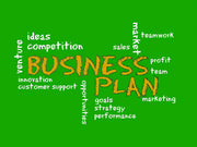 I will write your business proposals in a meticulous way