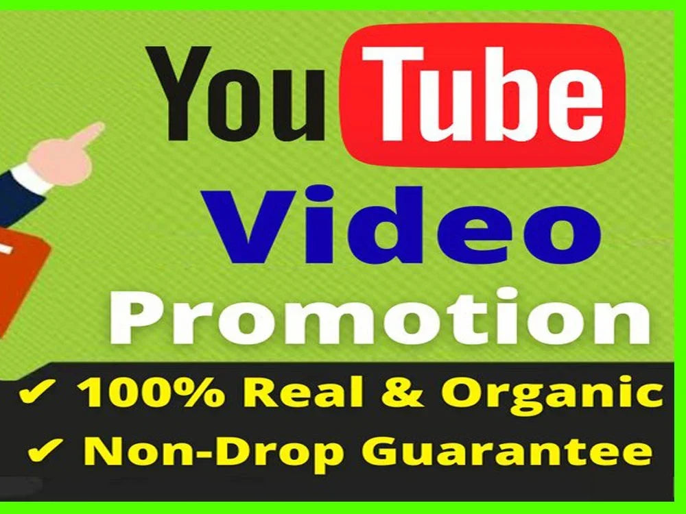 I will do best youtube video SEO for organic ranking