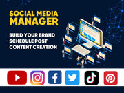 I will be your professional social media manager (1 platform)