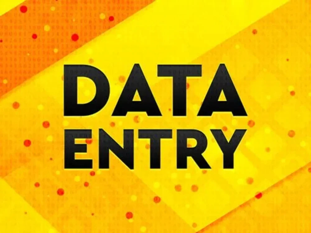 I will do data entry in low price-6 hours of work