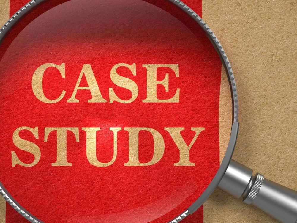 I will do business case study, summary, executive summary, research writing (600 words)