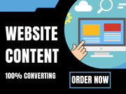 I will be your SEO website copy and content writer (1 page or upto 500 words)